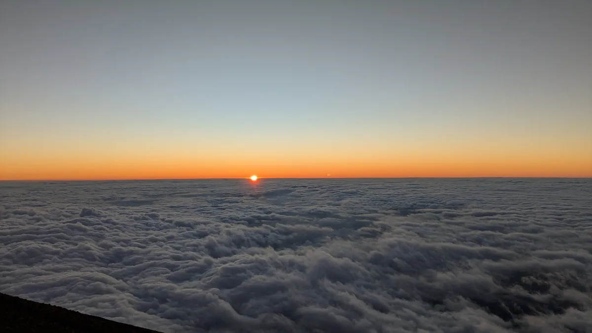 7599